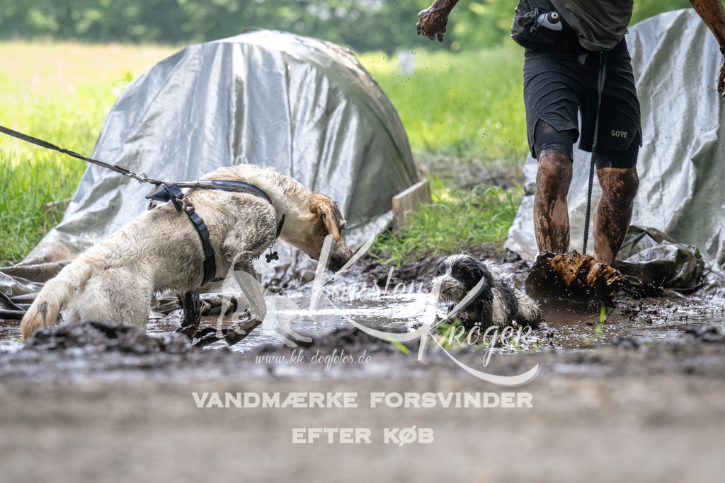 1212_ZZ91730 | kk-dogfotos