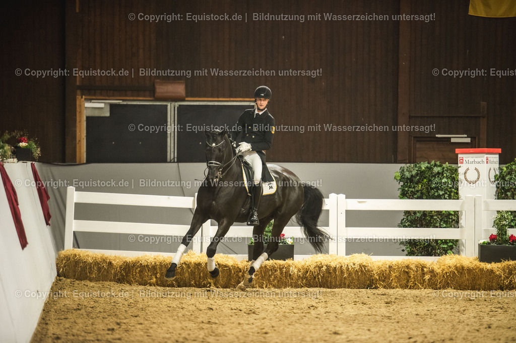 20240302_Hengstvorstellung_Marbach_TOMsPiC_1547-2 | equistock