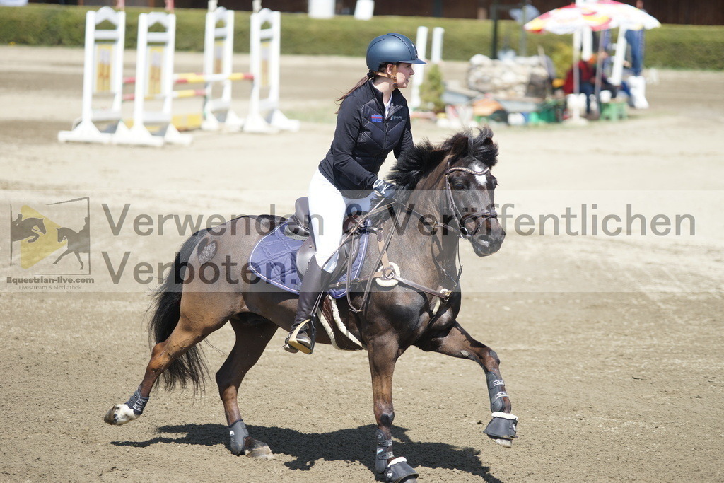 DSC02855 | equestrian-live-com
