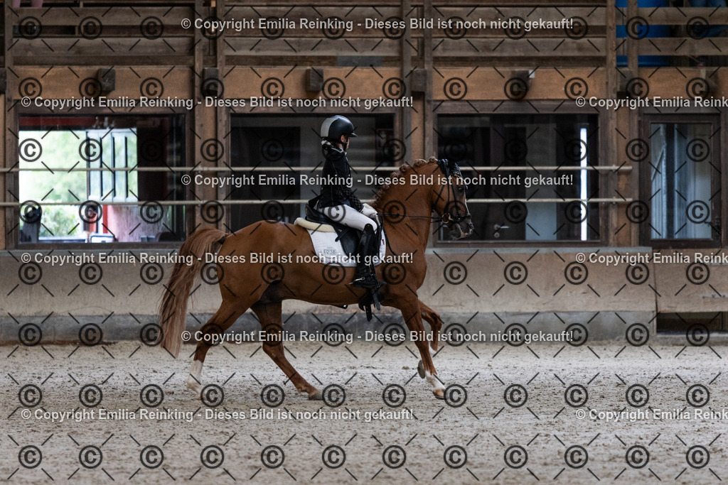 CL5A5263 | Emilia Reinking Fotografie - Realisiert mit Pictrs.com