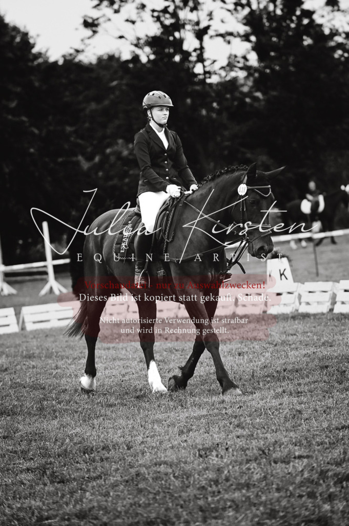DSC_5062 | Pferde- und Turnierfotografie in Westsachsen. Pferdeportraits, Auftragszeichnungen und intuitive Kunst.