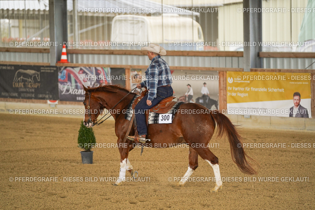 DSC04040 | Pferdegrafie