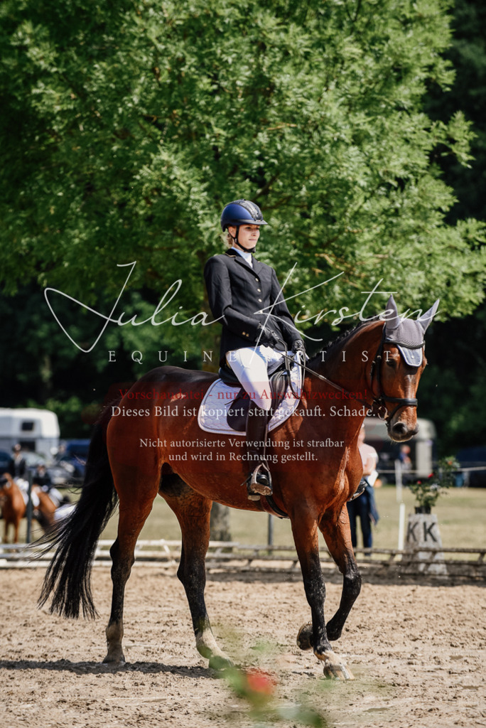 DSC_1169 | Pferde- und Turnierfotografie in Westsachsen. Pferdeportraits, Auftragszeichnungen und intuitive Kunst.