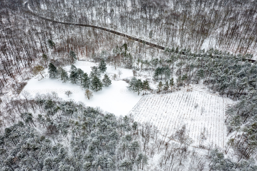 10049-52080 - Winter im Huy | Stockfoto und Bilderpool mit Bildmaterial aus Deutschland, dem Harz, Halberstadt, Quedlinburg, Wernigerode und weltweit. Qualitativ hochwertige und professionelle Fotos anschauen und kaufen. - Realisiert mit Pictrs.com