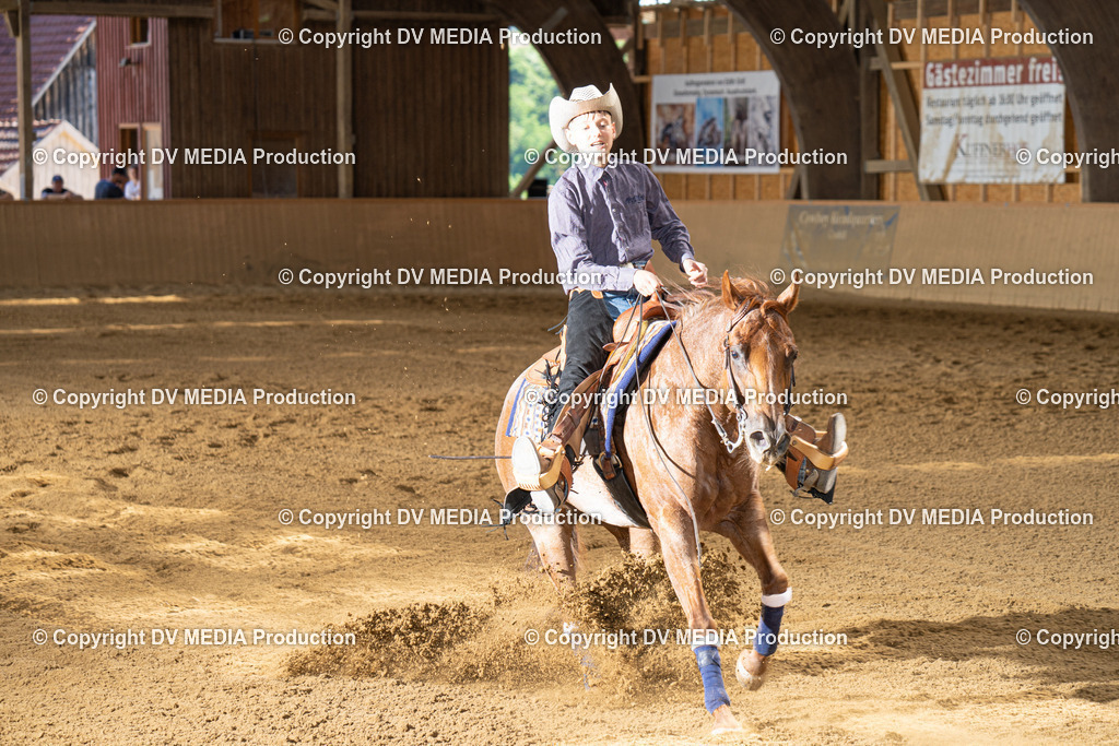 DSC00152 | dv-media-shop - Realisiert mit Pictrs.com