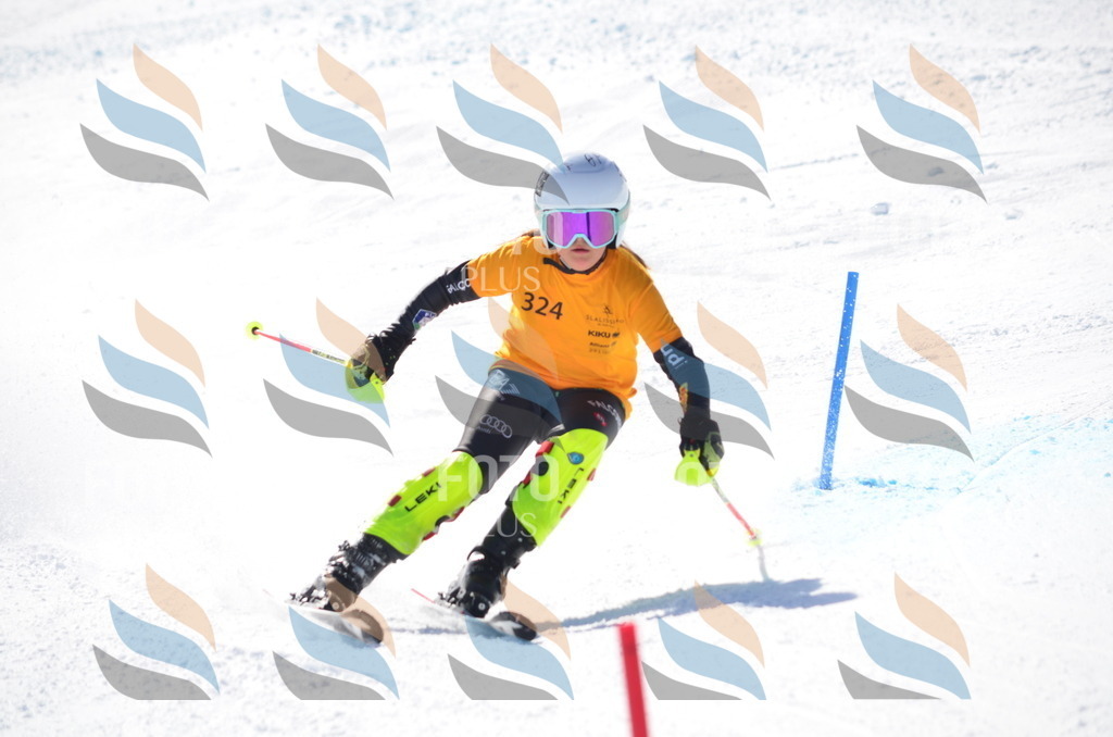 C9599 | holidayphoto