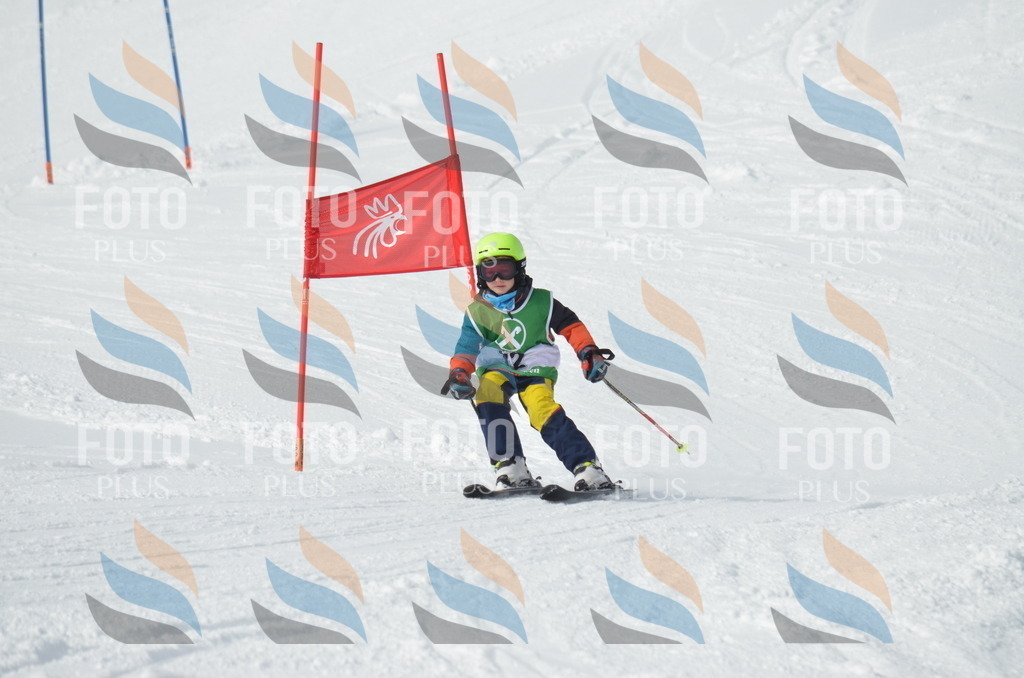 D8539 | holidayphoto