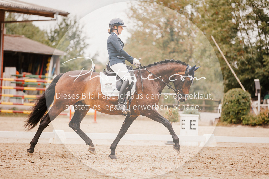 3I6A5948 | Stimmungsvolle Portraits und Reitsportfotografie im Ruhrgebiet und im Münsterland.

Pferdefotografie, Hundefotografie, Tierfotografie, Reportagen, Portraits von Tier und Mensch, Turnierfotografie in Bochum, Recklinghausen, Marl, Haltern am See, Dülmen.. - Realisiert mit Pictrs.com