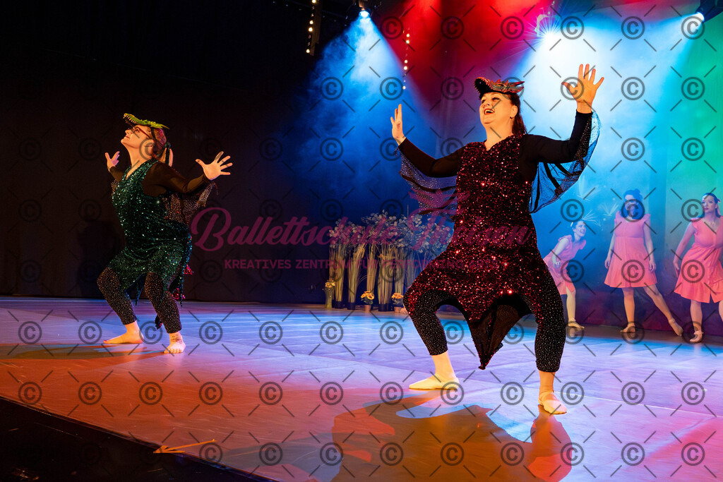 Ballettaufführung-247 | Bildershop Lem'n Entertainment - Realisiert mit Pictrs.com