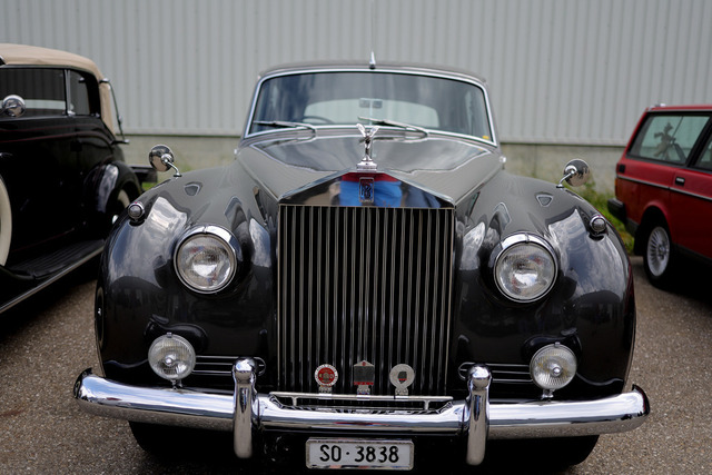 Calag_Oldtimer2025-45 | Ich fotografiere Hundeausstellungen, Sportanlässe, Zuchtstätten, Hundezucht, Hundeportrait, Lagotto - Realisiert mit Pictrs.com