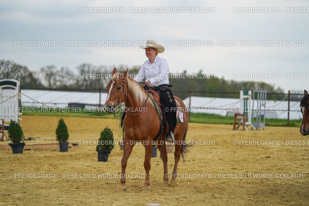 DSC08308 | Pferdegrafie