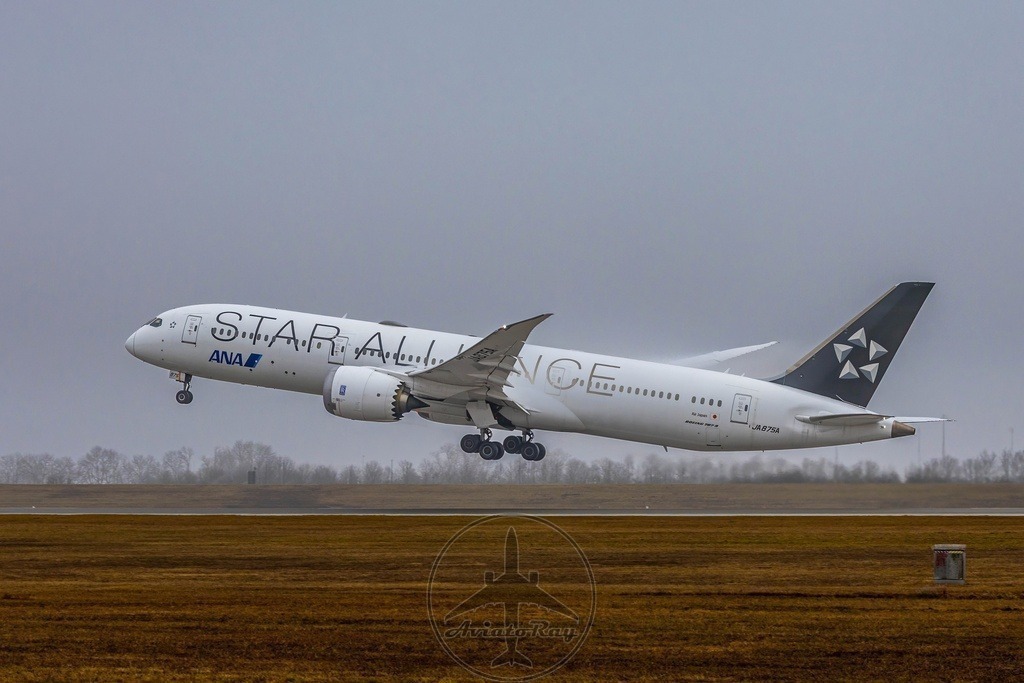 NH218-B789-JA875A-MUC-HND-20250301-2-topaz-denoise-sharpen | Browse breathtaking aviation photography and order high-quality prints from AviatoRay's gallery. Perfect for enthusiasts and collectors. - Realisiert mit Pictrs.com