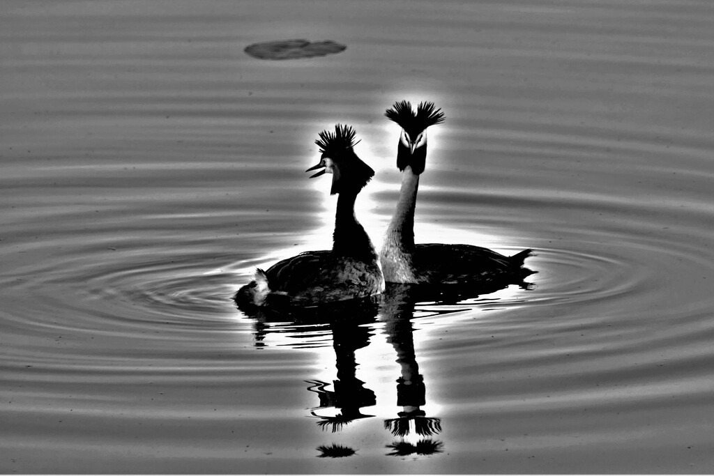 P7410371 (8) | Annaeherungen - Realisiert mit Pictrs.com