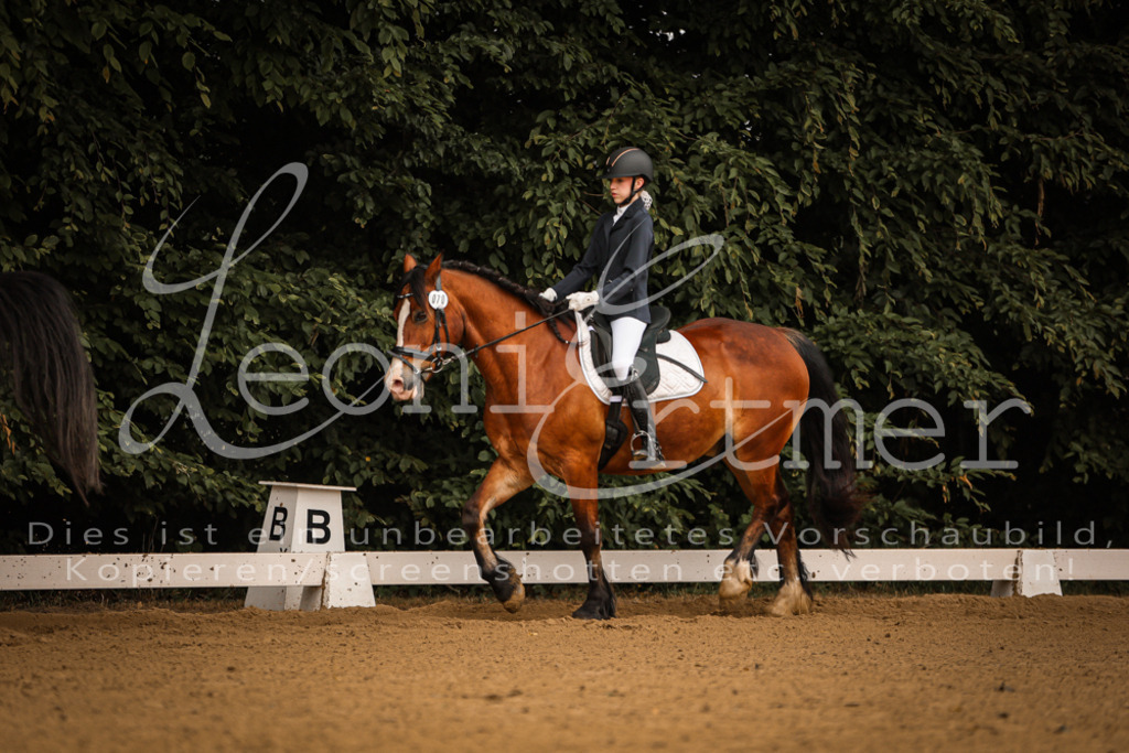 DoDrE00027 | Leoni Ertmer Photography - Realisiert mit Pictrs.com