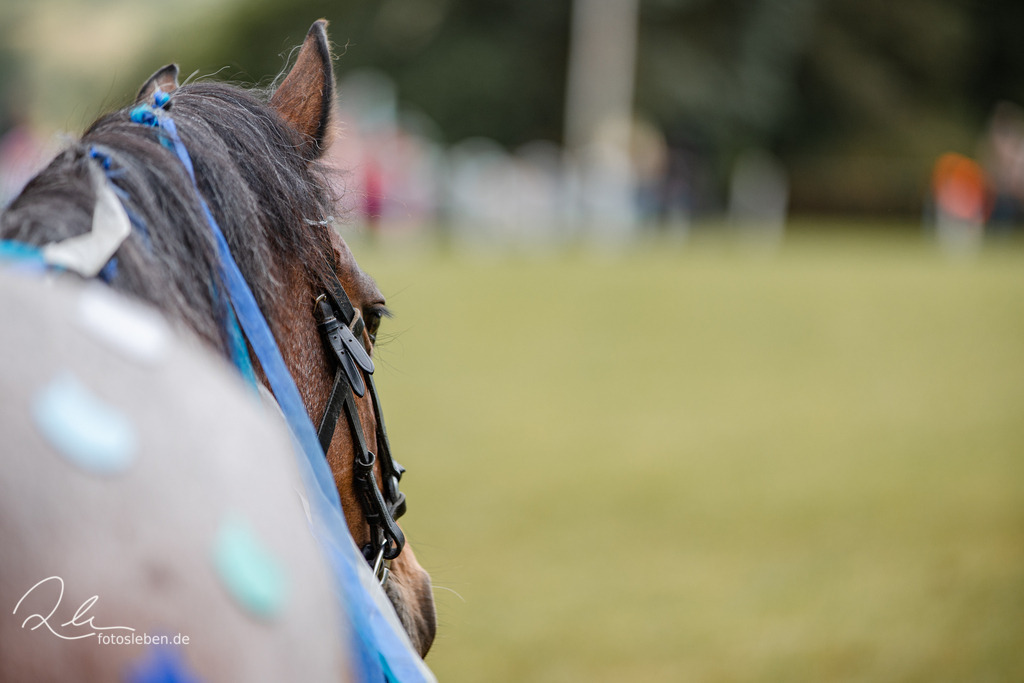 846A1886 | fotosleben - Realisiert mit Pictrs.com