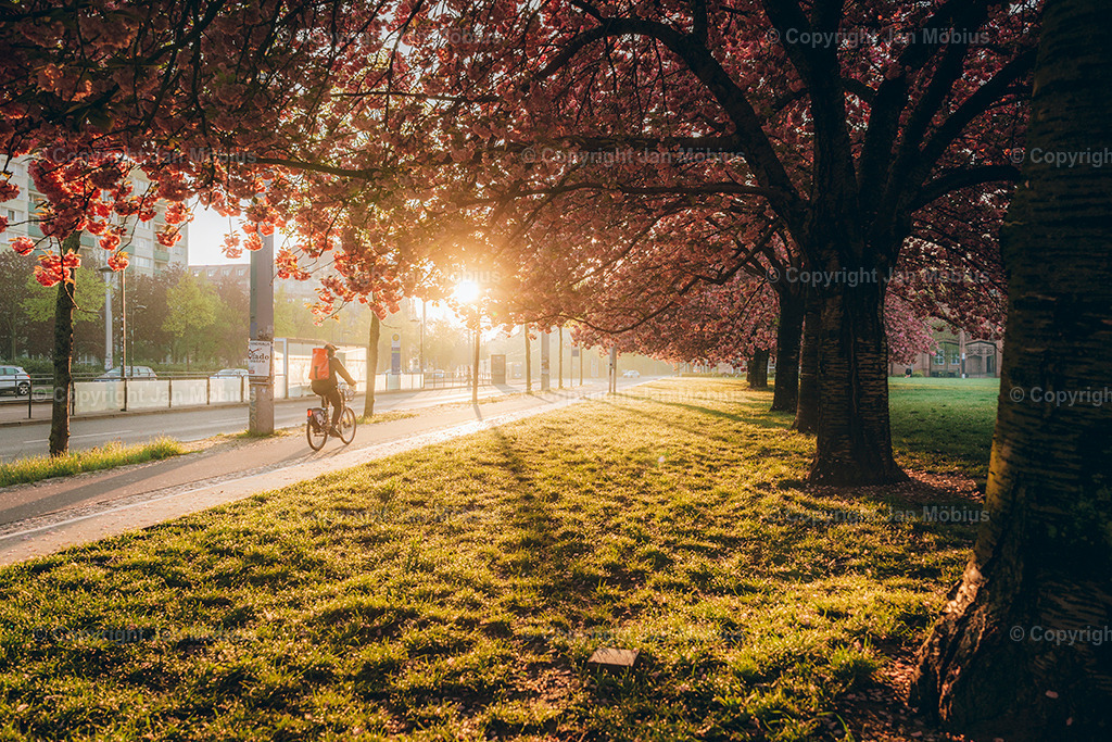 _DSC1696 | Leipzig Wandbilder Drucke Prints Leinwand Stadtmotive Leipzig Fotosdruck Kunstdrucke Bilder Leipzig Stadtansichten Acrylglasbilder Leipzig Wanddeko Fine Art Prints Wandbilder Büro Leipzig Bilder Praxis Zuhause Bilderdruck Poster Posterlounge Kunstdrucke - Realisiert mit Pictrs.com