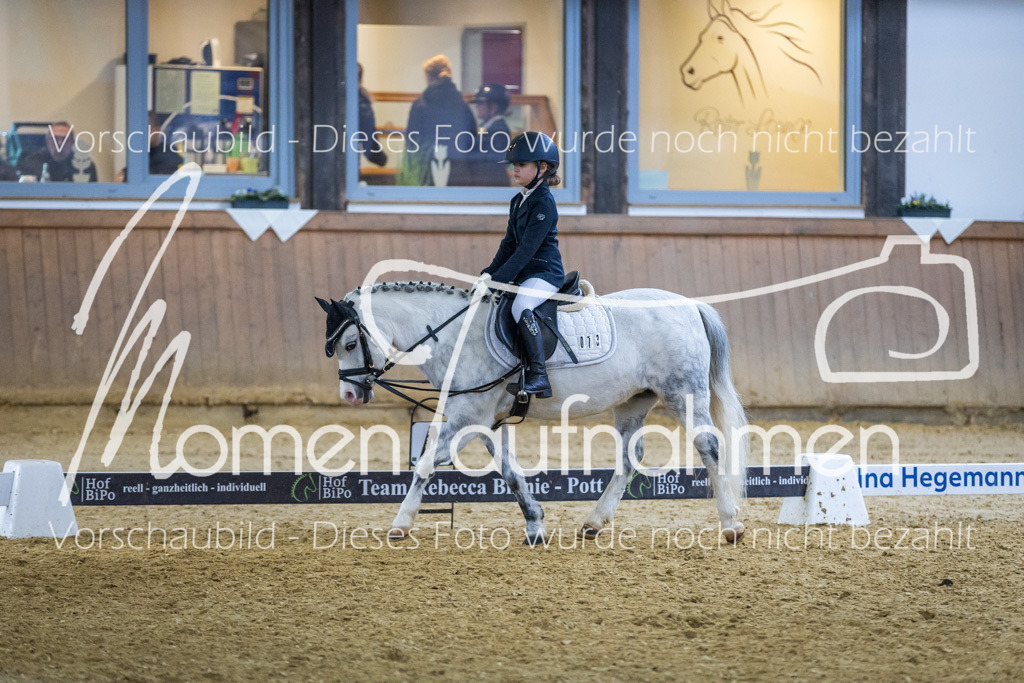 Sth-WBO25-RWBST-012 | MomenTaufnahmen Pferdesportfotos