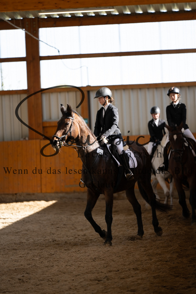 A7V02062 | Turnier/Reitfotograf