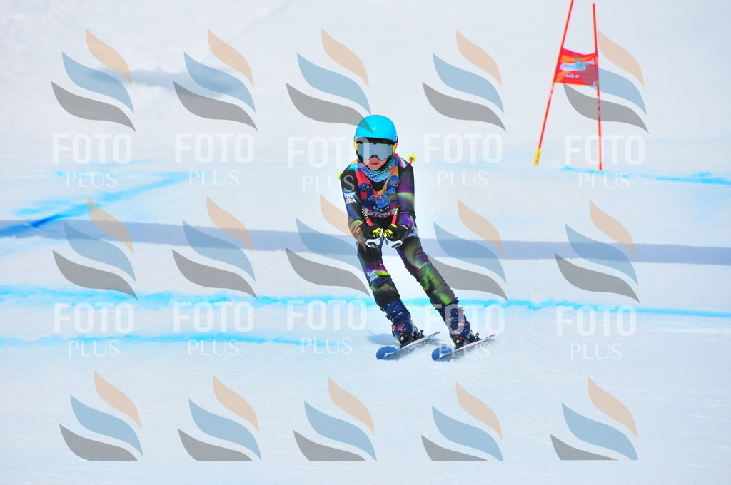 DSC_6434 | holidayphoto