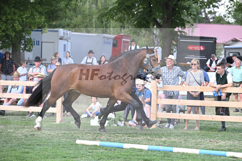 Kat-Nr. 50 Nockerl_HLG Schwaiganger_20230792 | hf-fotografie - Realisiert mit Pictrs.com