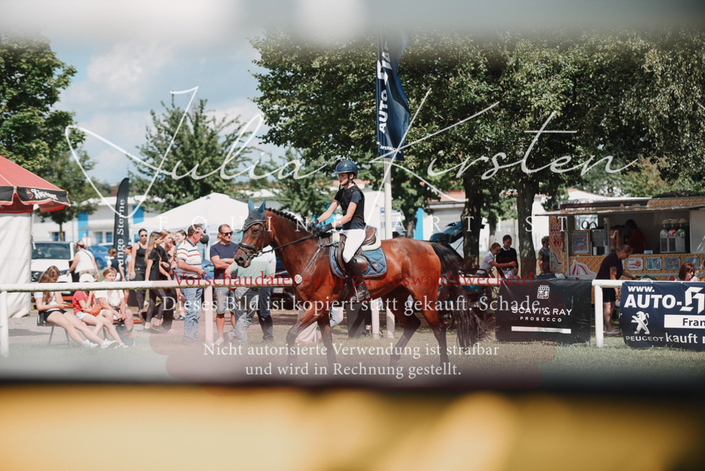 DSC_5701 | Pferde- und Turnierfotografie in Westsachsen. Pferdeportraits, Auftragszeichnungen und intuitive Kunst.