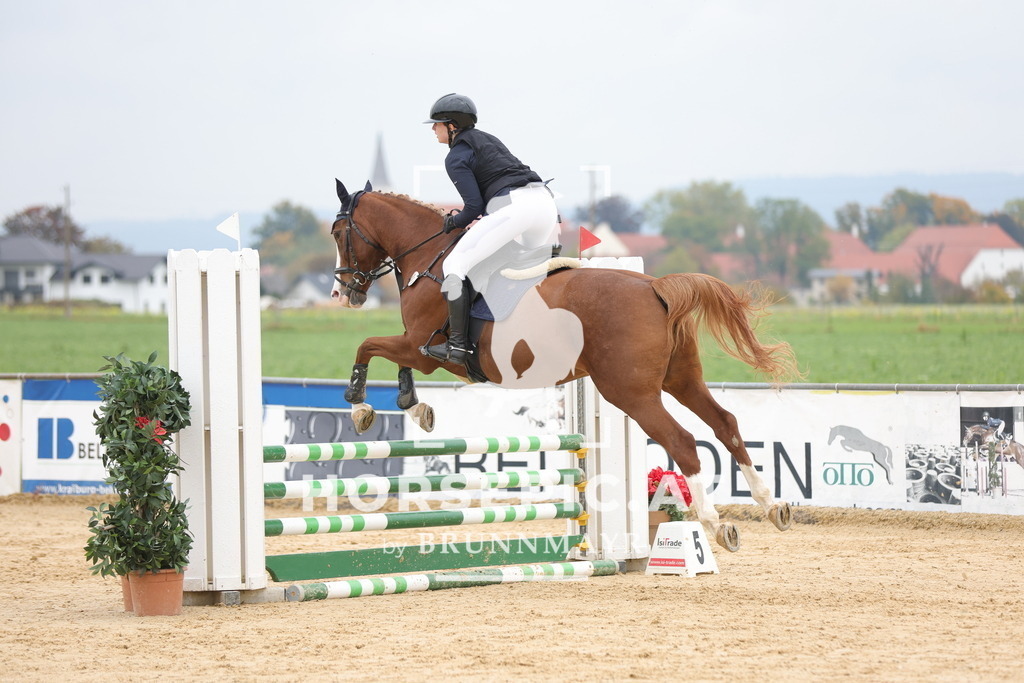 0P6A2452 | Willkommen bei Brunnmayr - Design & Fotografie – Ihrem Spezialisten für Reitturniere und Pferdeveranstaltungen in Oberösterreich, Salzburg und Bayern! Seit über 17 Jahren sind wir leidenschaftlich dabei.