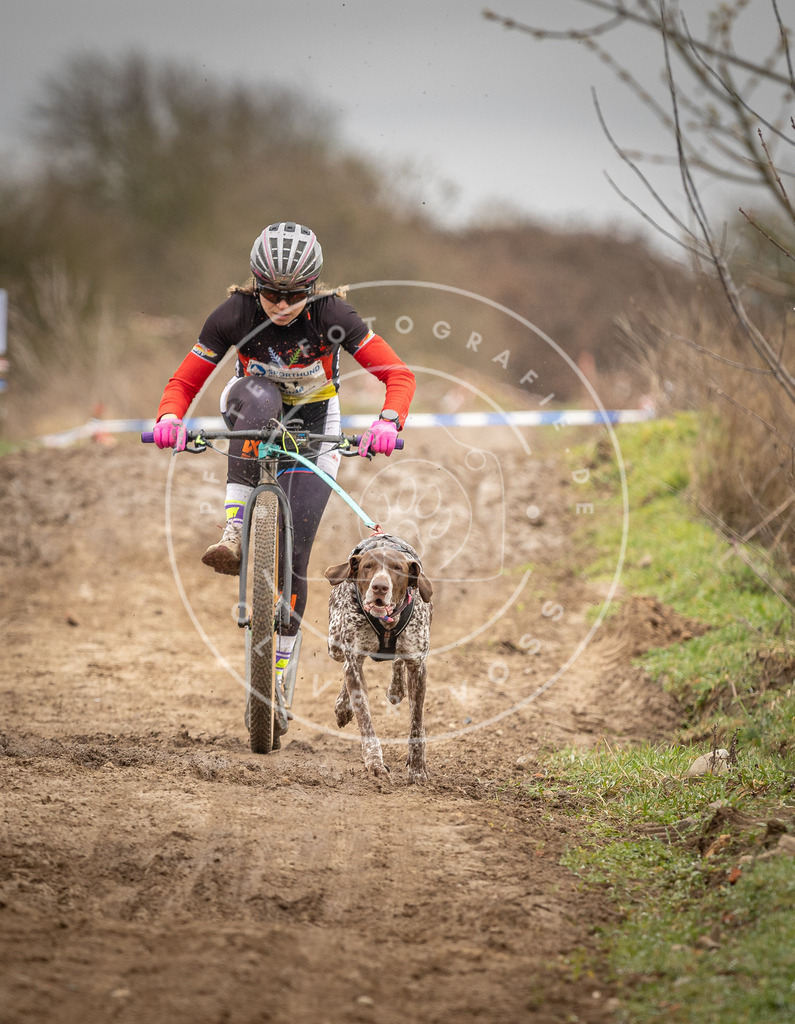 DV3A1245 | Hundefotografie, Tierfotograf, Pfotenfotografie, Fotoshooting Hund, Hunde Portrait, Hundesport, Hundeportraits, Heideshooting, Hunde, Sportfotograf, Hundefotograf, Turnierhundsport, THS,  - Realisiert mit Pictrs.com