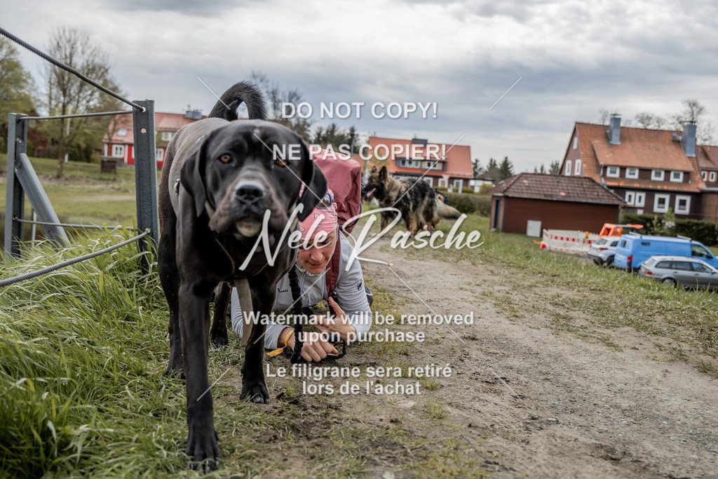 NR__2583 | nelerasche