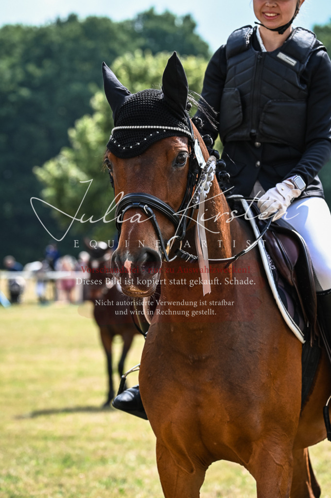 DSC_8604 | Pferde- und Turnierfotografie in Westsachsen. Pferdeportraits, Auftragszeichnungen und intuitive Kunst.