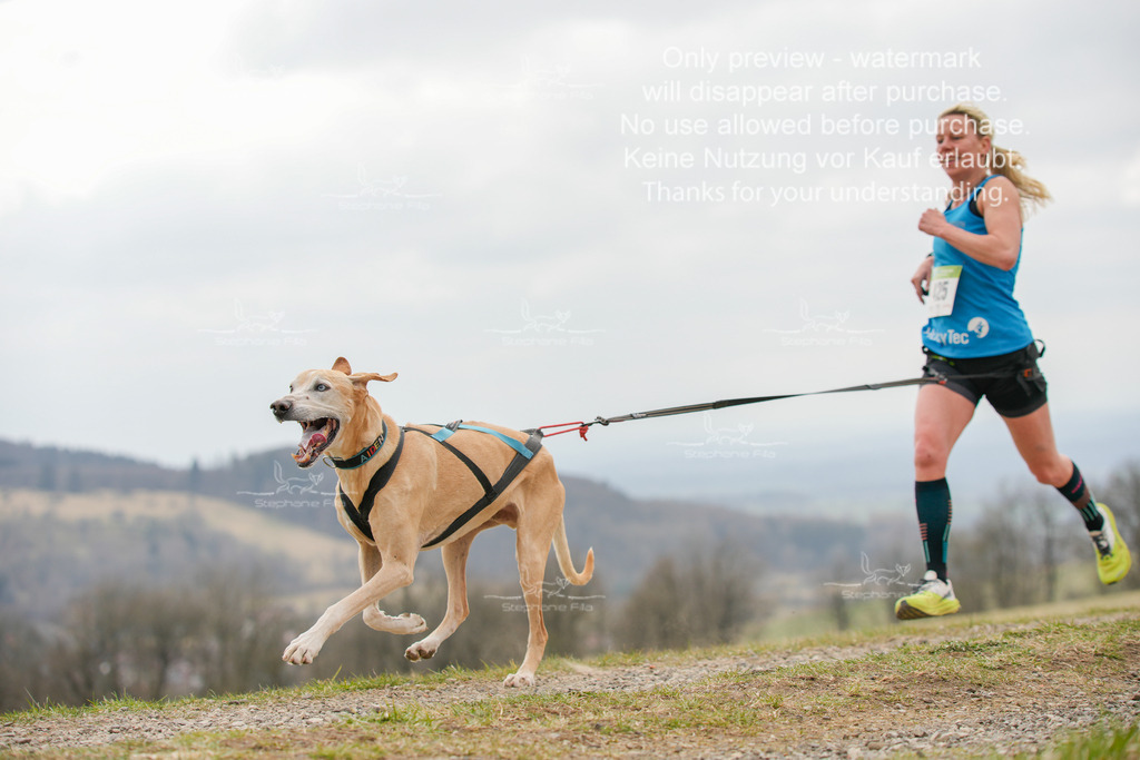 CaniXRunSA-156 | stephaniefillaphotographie - Realisiert mit Pictrs.com