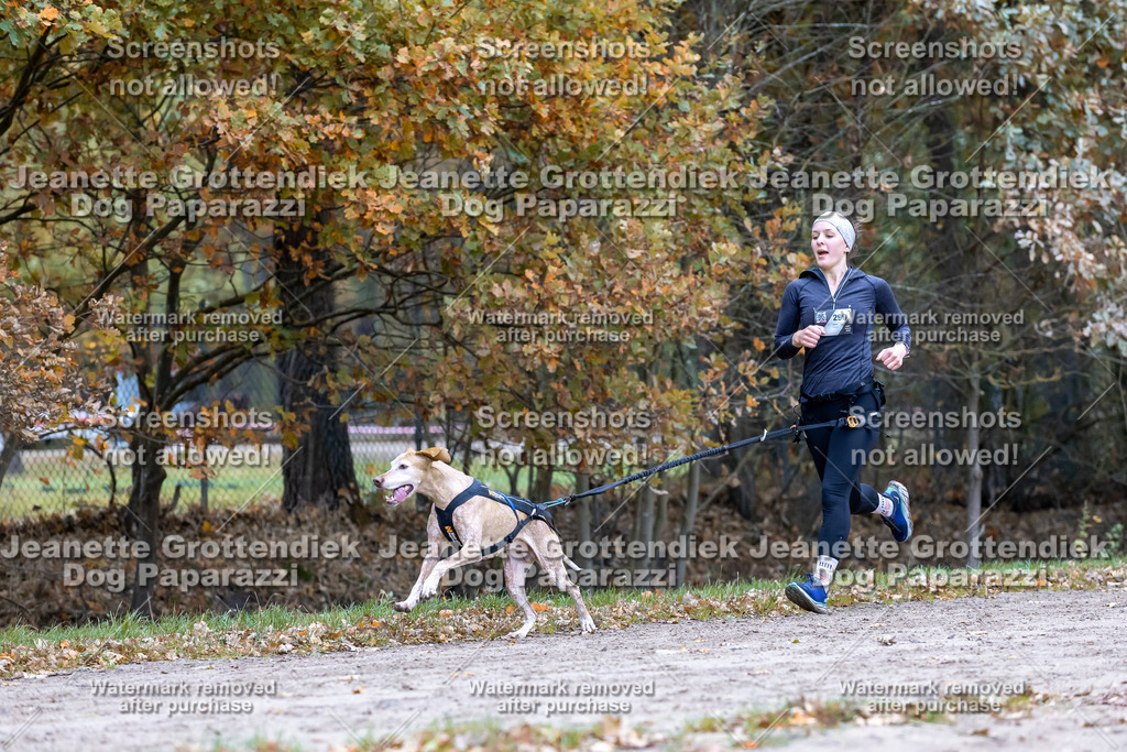 Dog Paparazzi - SD CaniX Championship 2025-536 | Dog Paparazzi Jeanette Grottendiek Fotografie & Videografie - Realisiert mit Pictrs.com