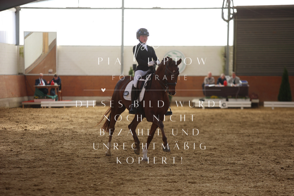 IMGT9973 | pl-fotografie