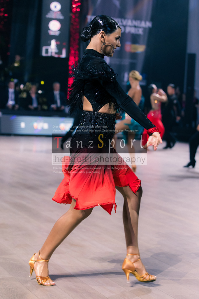 IMG_8345 | Tanzsportbilder, Standardtanz, Lateintanz, WDSF, DTV, LTVB, dancecomp, goc, hessen tanzt, blaues band der spree, walzer, tango, wiener walzer, slowfox, quickstepp, samba, rumba, cha-cha-cha, paso doble. jive, hd-kroft photography, turniertanzsport