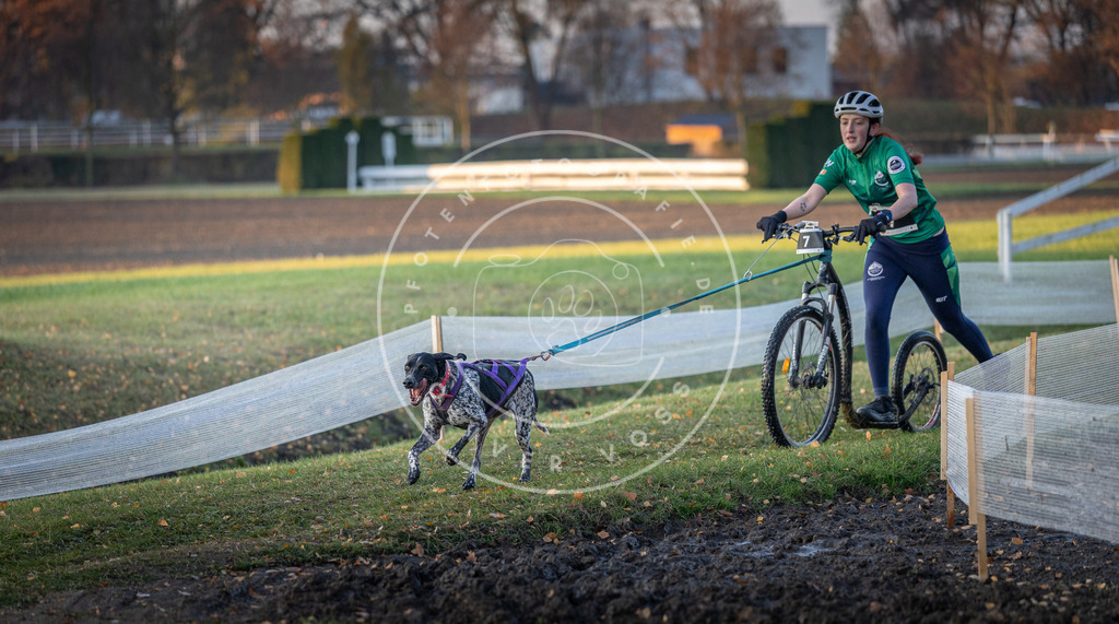 CaniXpix_DV3A9358 | Hundefotografie, Tierfotograf, Pfotenfotografie, Fotoshooting Hund, Hunde Portrait, Hundesport, Hundeportraits, Heideshooting, Hunde, Sportfotograf, Hundefotograf, Turnierhundsport, THS,  - Realisiert mit Pictrs.com