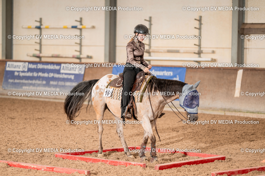 LM Heiligenwald Tag 2-29 | dv-media-shop - Realisiert mit Pictrs.com