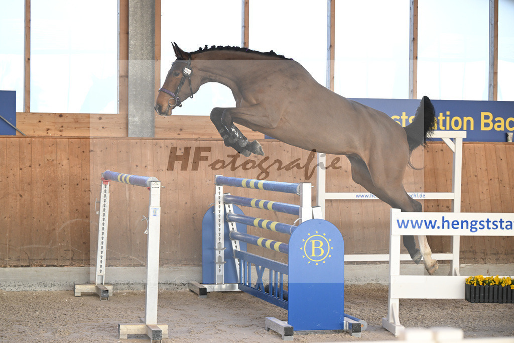 Kat-Nr. 11 Zara von Imhoff v. Catoki_Imhoff_14262191 | hf-fotografie - Realisiert mit Pictrs.com