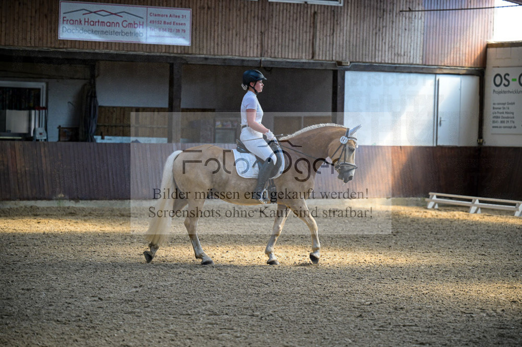 Reitturnier Voxtrup | Entdecke hochwertige Reitturnierfotos von Foto Oger. Professionell, emotional und authentisch – jetzt Lieblingsmomente im Shop bestellen.Deutschlandweite Turnierfotografie. - Realisiert mit Pictrs.com