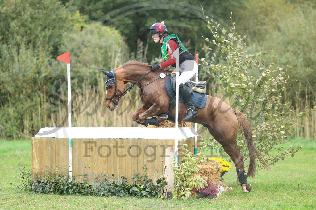 994A3314 | sabrinanicolaifotografie - Realisiert mit Pictrs.com