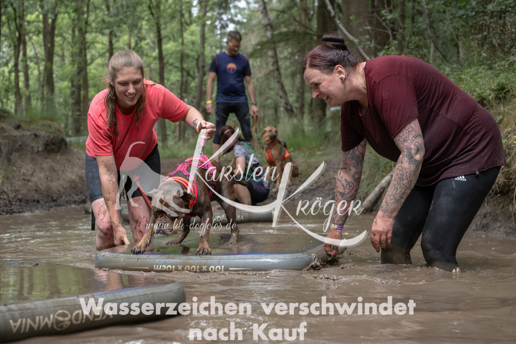 1334_ZZ94668 | kk-dogfotos