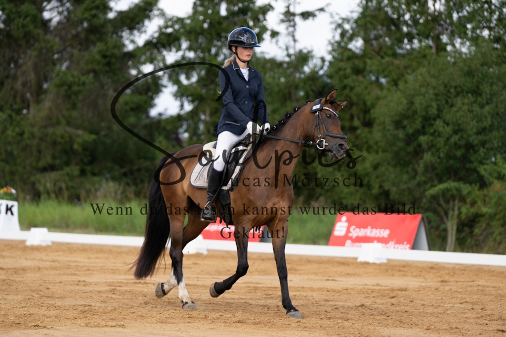 A7V05189 | Pferdefotograf