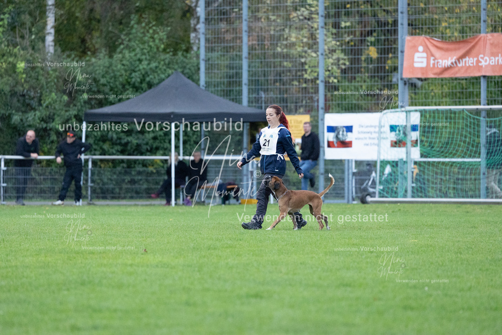 _16A4715 | Einzigartige Fotos von Hunden & Menschen –Actionfotos, Portraits, Vereinsaufnahmen & Paarshootings – authentisch, lebendig & mit Herz.