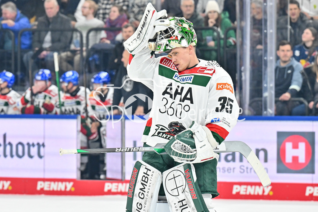 EHC RB München - Augsburger Panther | im Bild Markus KELLER (Augsburger Panther #35) / Freisteller / Einzelfoto / DEL: EHC RB Muenchen - Augsburger Panther, SAP Garden am 23.11.2024