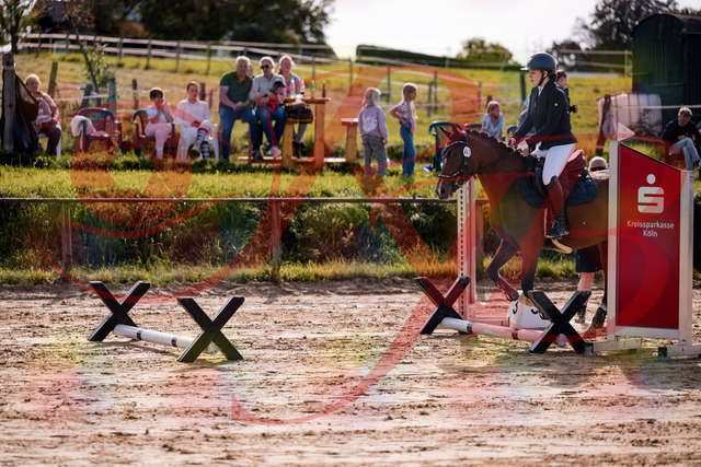 2026_10_03_Siefer-Hof_145705_Z81_38405917 | Professionelle Reitsport-, Turnier- und Eventfotografie von Robert Broda. Galerien mit ausgewählten und bearbeiteten Bildern direkt online ansehen und bestellen.