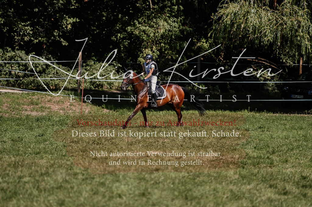 DSC_1732 | Pferde- und Turnierfotografie in Westsachsen. Pferdeportraits, Auftragszeichnungen und intuitive Kunst.