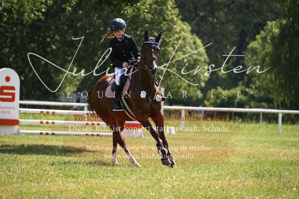 DSC_8997 | Pferde- und Turnierfotografie in Westsachsen. Pferdeportraits, Auftragszeichnungen und intuitive Kunst.