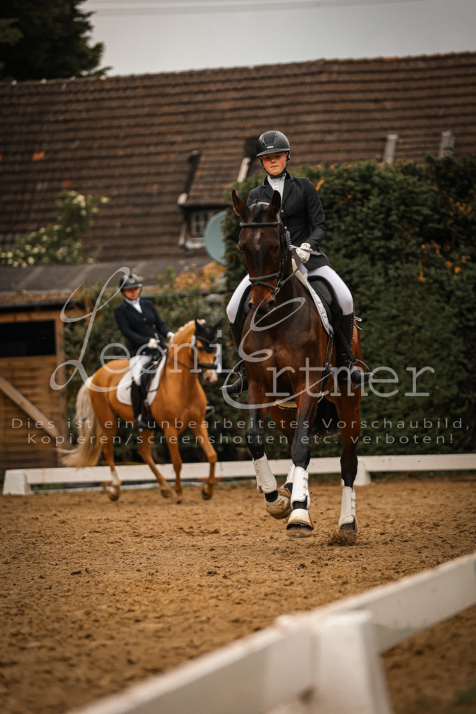 DoDrA00674 | Leoni Ertmer Photography - Realisiert mit Pictrs.com