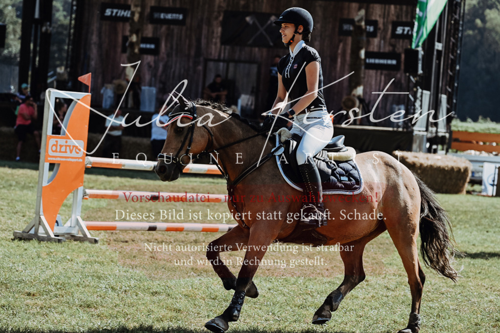 DSC_6030 | Pferde- und Turnierfotografie in Westsachsen. Pferdeportraits, Auftragszeichnungen und intuitive Kunst.