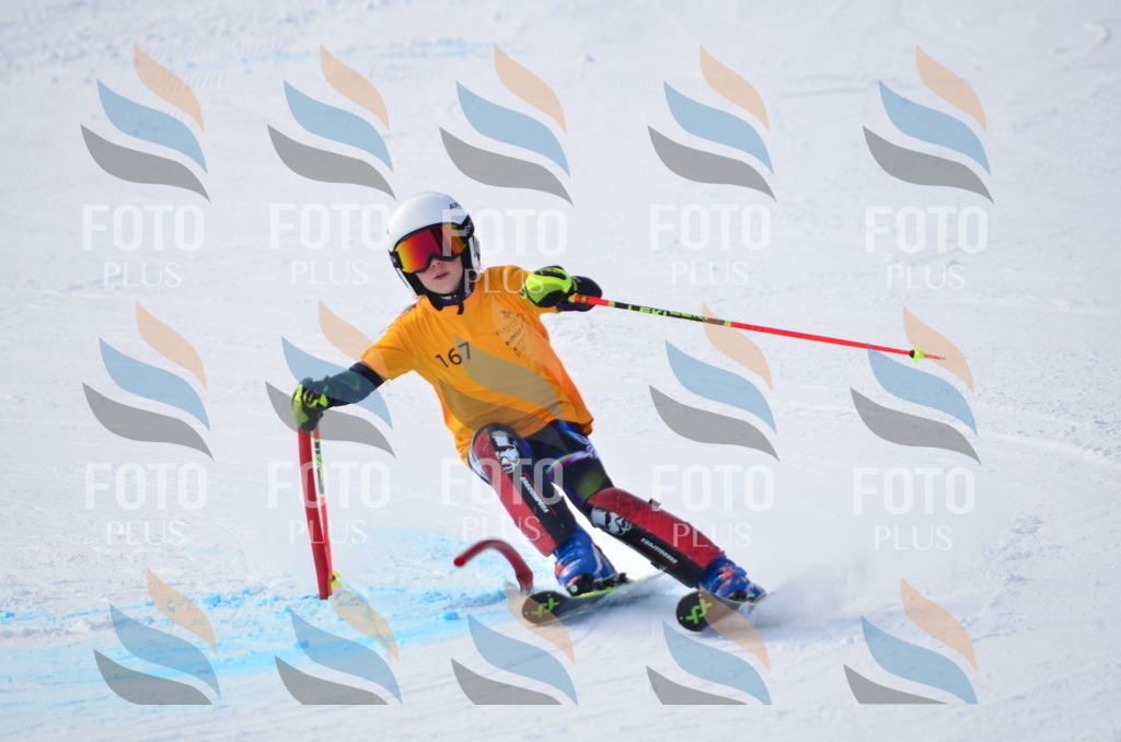 C7872 | holidayphoto