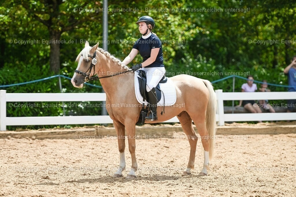 20230715_09_Dressur-WB_0507 | equistock