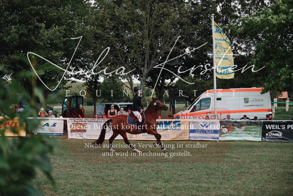 DSC_5835 | Pferde- und Turnierfotografie in Westsachsen. Pferdeportraits, Auftragszeichnungen und intuitive Kunst.